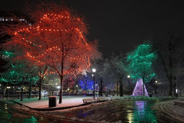 A snowy park scene at night, featuring trees adorned with colorful lights in shades of orange, green, and blue. A brightly lit Christmas tree is visible in the background, reflecting off the wet pavement.