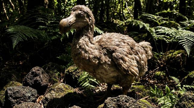 Image d'illustration de l'article