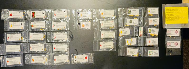 An array of small plastic ziplog bags of chilli seeds on a black tabletop, 8 wide by 5 high, though with a few gaps: 35 packets of seed.