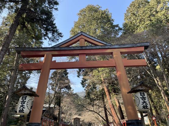 Distinctive style of torii gate that demarks sacred space