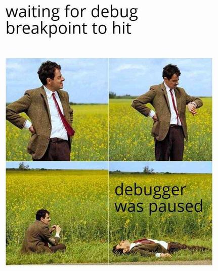 meme with caption "waiting for debug breakpoint to hit" showing 4 panels of Mr bean waiting in a meadow with last caption saying "debugger was paused"