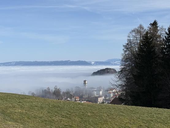 Bild von Heiden zum Bodensee über dem Nebel