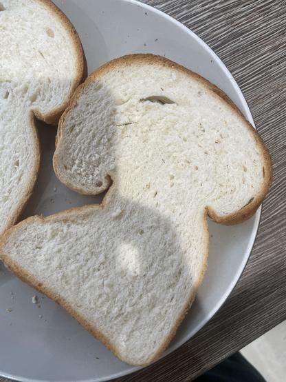 A very oddly shaped slice of bread