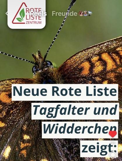 Screenshot Rote Liste Zenrum.
Neue Rote Liste
Tagfalter und Widderchen zeigt:

Quelle: Rote Liste Zentrum auf Instagram.