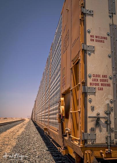 Train cars stretching down the tracks as far as the eye can see in the California desert