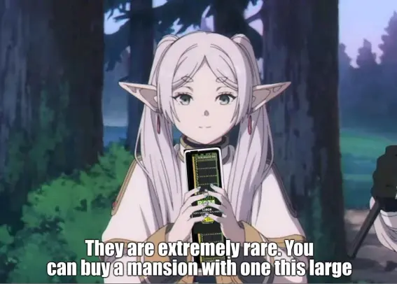 They are extremely rare.
You can buy a mansion with one this large.
(frieren holds 128gb kit of ram)