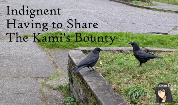 2 crows face each other. One is on a retaining wall and the other is on a lawn. Street in background. 3 line poem as in message