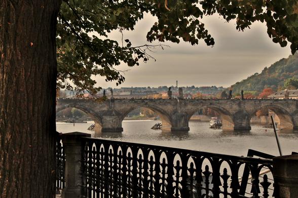 View on the Charles Bridge from a bit of a distance. The river, a balustrade and a tree encircle the view. It's autumn.
