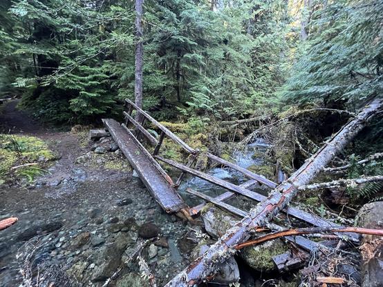 A small creek with clear water flowing over a stony gravel bed. A bridge that was made of a single large log flattened on top with a chainsaw crosses it. It has a single rustic railing made of smaller branches nailed together. But it has snapped in two and lies angled into the water. Other fallen logs complicate any potential risk way across.