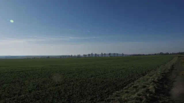 Blauer Himmel, grüne Felder