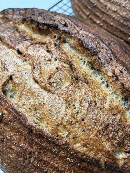Seeded sourdough showing a variety of seeds and gluten strands.