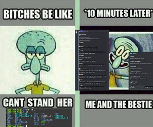 two-panel meme of Squidward with crossed arms on the left alongside the text "bitches be like: can't stand her [linux terminal screenshot]" next to an image of two discord bot commands help message with a smiling Squidward together on the right, alongside the text "*10 minutes later* me and the bestie."