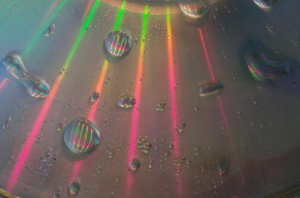 A wet CD was illuminated with white LED light during the day. The CD surface refracts the light, and the resulting rainbow colors are reflected in the droplets.