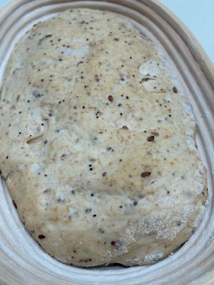 Sourdough in a batard banneton showing seeds.