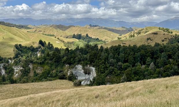 Typical Manawatū landscape, with eroded papa cliffs and rugged pasture