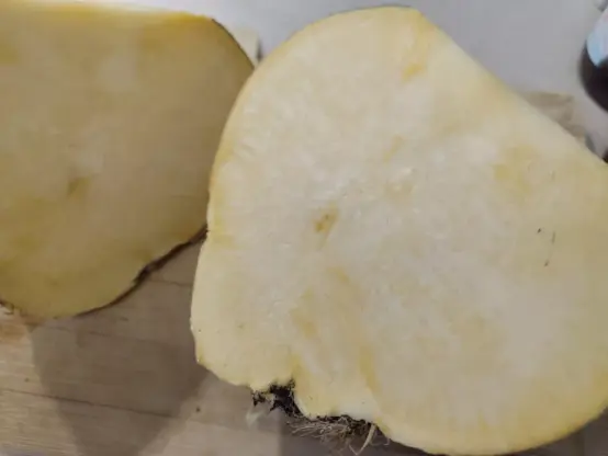 Der Anschnitt einer Steckrübe. Innen ist sie weißlich-gelb.