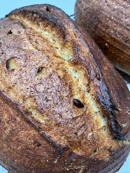 Golden multi-seeded sourdough.