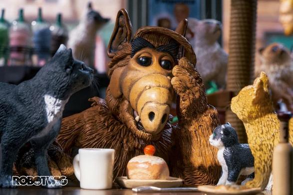 Alf is disappointed to find that they don't serve cat in a cat cafe and looks disappointingly at his iced bun and coffee whilst been surrounded by cats.