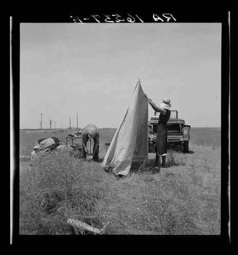 The black-and-white photograph captures a moment in the lives of migrant workers during what appears to be their break time. In an open field, under clear skies and with utility poles scattered in the background suggesting rural or semi-rural surroundings, two individuals are engaged in setting up a tent-like structure that's partially unfurled on the ground. The individual at the forefront is wearing dark clothing, including boots, rolled-up pants, and appears to be holding the top edge of the fabric outwards with their left hand while using their right for support or balance against what could possibly be a vehicle; only part of it visible in this frame seems like an old-fashioned truck. The second person, bent over near the ground as if digging through something on the soil, is wearing lighter-colored clothing and also boots.

The field appears to have been recently grazed by cattle since patches are barren with some residual grass clippings left behind. In addition, there's a log or fallen branch lying across part of this cleared area which seems untouched except for its placement where it now lies on the ground parallel to one edge of the tent structure.

The simplicity and starkness of their surroundings convey hardship but also resilience; they are taking shelter in makeshift quarters amidst what might be days spent working under these very skies, far from permanen [...]