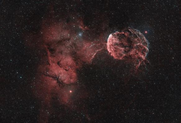 Two mostly red nebulae side by side. On the right a bright and sharply constrained supernova remnant. It has a bright arc of gas running vertically with fainter tendrils pointing to the right and then curving down, giving. jellyfish shape. 

The nebula on the left is fainter, deep red and more diffuse. It has many dark bands and tufts of dust across it.  At its bottom is a fairly bright yellow star, at its top a bright blue star that illuminates some of the dust around (or in front of) it.