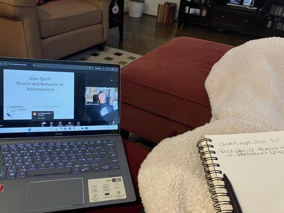 Point of view from a person sitting on a couch looking at a laptop and with a blanket and notebook on her lap.