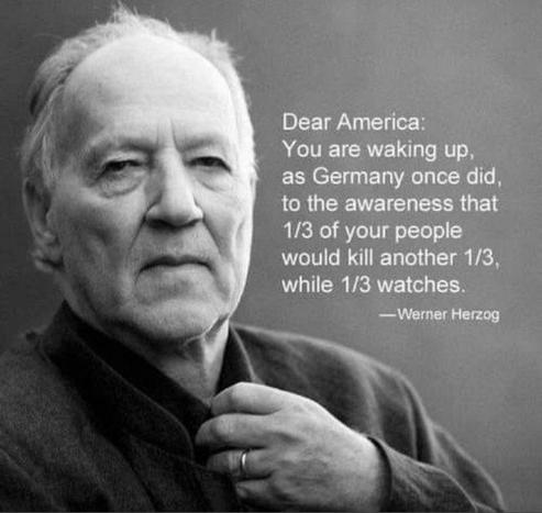 Dear America:
You are waking up, as Germany once did, to the awareness that 1/3 of your people would kill another 1/3, while 1/3 watches.
—Werner Herzog