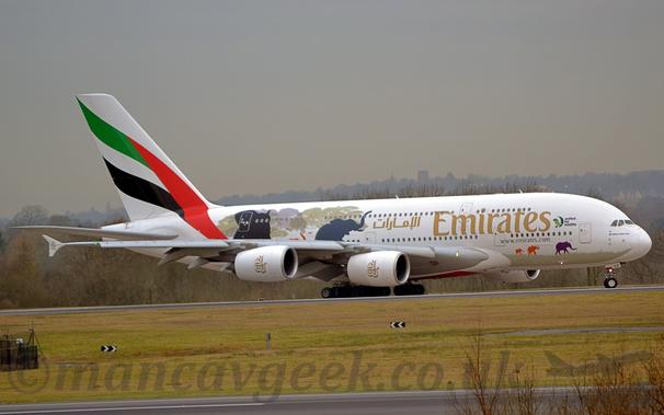 Side view of a very large, 4 engined jet airliner taxiing from left to right along a black runway.
The plane is mostly white, with golden "Emirates" titles on the side of the forward fuselage, and smaller titles in a golden Arabic script over the wings.
Golden Arabic calligraphy covers the white engine pods under the wings, echoing the titles on the fuselage.
Images of grey and black elephants wander across the rear fuselage.
A large grassed area fills the foreground, with a grey taxiway right at the bottom of the frame.
Trees line the far side of the runway, with buildings in the far distance disappearing into murky grey sky.