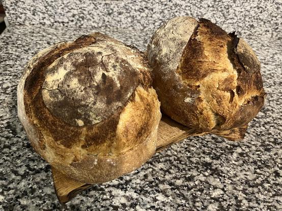 Two fresh loaves of sourdough bread.