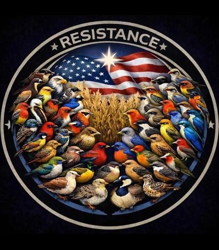Black background , medallion or patch of all 50 state  birds circled on the bottom looking up at the America flag with a star and RESISTANCE above.
Artist unknown
