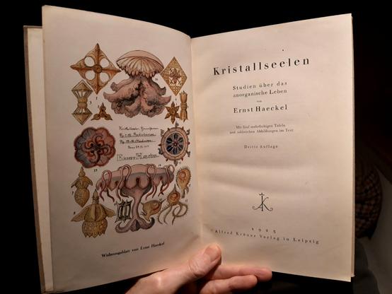 A hand holds a book open on the title page. On the left an arrangement of 16 small drawings in colour, depicting radiolarua and medusas. On the right the title page of "Kristallseelen" by Ernst Haeckel, third edition from 1925.