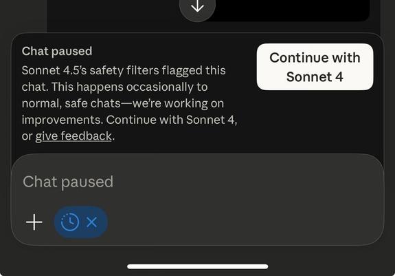 The image shows a message from a chat interface indicating that the chat has been paused due to safety filters, with options to continue or provide feedback.