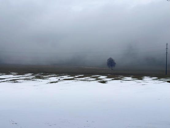 Eine neblige Landschaft zeigt einen einsamen Baum in der Ferne, mit einem Vordergrund aus schneebedecktem Boden. Stromleitungen erstrecken sich über die Szene, und die Gesamtatmosphäre ist gedämpft und grau.