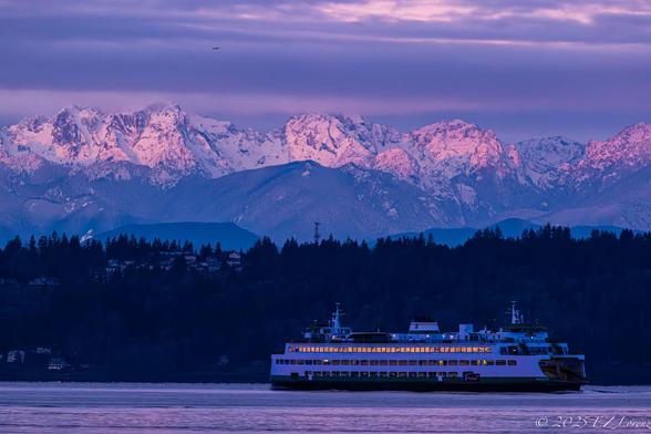 A ferry from Edmonds, WA sails across the Puget Sound with a stunning view of the snow-capped Olympic Mountains under a pre-sunrise sky, heading to Kingston. The landscape is bathed in a purple and pink hue.