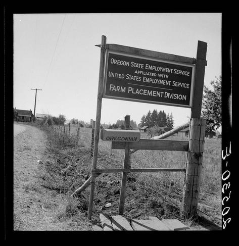 The image is a black and white photograph depicting an old-fashioned wooden signpost. The prominent sign reads "Oregon State Employment Service Affiliated with United States Employment Service Farm Placement Division." Below this, it says "OREGONIAN" in smaller letters on the same post but at a different angle as the top sign.

In the background, there's rural scenery including what appears to be an old building or house to the left and some trees in the far distance. A wooden fence runs alongside the road where the signs are placed. The overall setting suggests this could be located near agricultural areas typical for farms which would require farm placement services during certain seasons.

There is a visible postal mailbox on the right side of the image, further supporting the rural setting context. It appears to have been used frequently as indicated by its weathered look and some stickers or labels attached at various spots.

The photograph has watermarks indicating "Oregon" and what seems like an alphanumeric code which suggests it may be part of a larger collection held in Oregon State archives or related bodies, possibly taken during the time period when Dorothea Lange was active as her name is associated with this region. The specific date mentioned on these codes could indicate the year 1948 and "M-26" which might refer to a particular series within that collect [...]