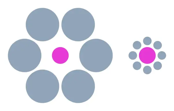 On the left, a pink circle surrounded by six large gray circles. On the right, a pink circle surrounded by eight small gray circles. The pink circle on the right appears to be much larger than the one on the left.