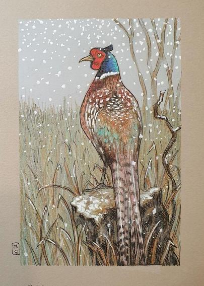 A small colour drawing of a pheasant in wintertime, with a grey sky and snow falling on a rural scene.
Pheasants are large, long-tailed game birds. The males have rich chestnut, golden-brown and black markings on their bodies and tails, with a dark green head and red face wattling.
An original art work, please note that the frame is not included.
Colour pencil and mixed media on acid free toned artist paper
5 by 7 inches (12.7 by 17.8 cm).