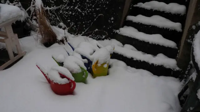 Bunte Gieskannen im Schnee