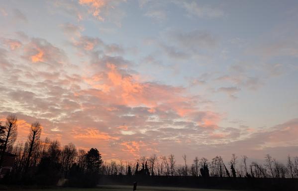 L'immagine mostra un'alba spettacolare con il cielo che sfuma da un azzurro chiaro in alto a tonalità intense di rosa, arancione e rosso vicino all'orizzonte.
Le nuvole sono illuminate dal basso dai raggi del sole nascente e appaiono soffici e stratificate, catturando le sfumature calde del sole.
In primo piano, la silhouette scura di alberi spogli e vegetazione si staglia contro il cielo luminoso.
 +2