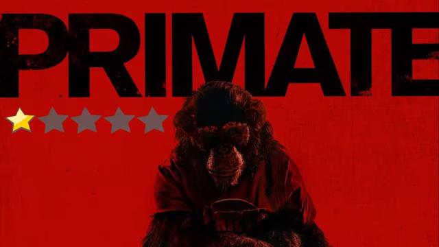movie post for the film primate showing a chimp holding a teddy bear on a red background with the word primate in black text above