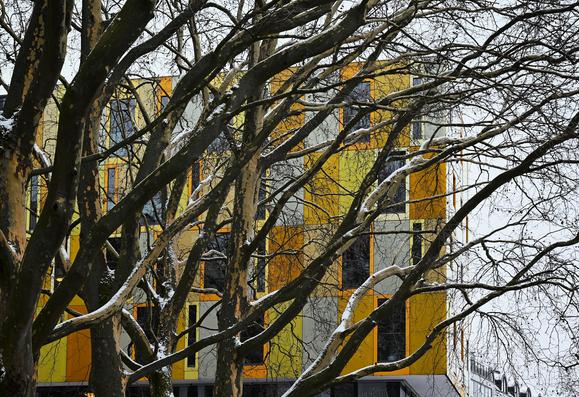 Bare winter tree branches criss-cross in the foreground, partially obscuring a modern building with geometric panels in yellow, black, and grey on an overcast day.