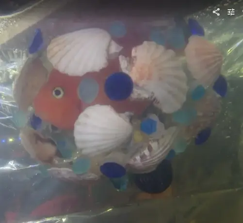 close up of the floating habitat with fish inhabitant