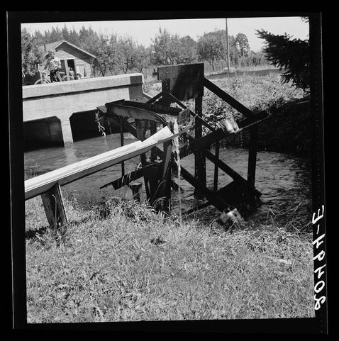 The black and white image depicts a rural setting with an old-fashioned waterwheel in the foreground, surrounded by tall grasses. The wheel appears to be part of an irrigation system for fields. In the background, there is a small structure resembling a shed or farmhouse near trees on what seems like farmland. A figure can be seen standing and another seated close to the waterwheel mechanism, likely operating it. There's also visible writing in white ink at the corners and along one edge of the image which reads "SHOENHEIDE" and includes other markings that are not fully clear. The scene suggests a historical or agricultural context with elements related to irrigation technology for crop cultivation, possibly located near West Stayton, Marion County in Oregon as hinted by the additional information provided.