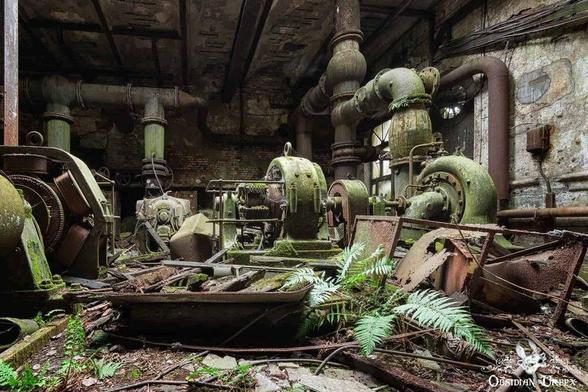 Abandoned industrial room with rusted, algae-covered machinery, broken equipment, debris, and ferns growing through the floor.