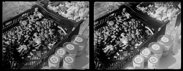 A side by side stereo pair of a plastic bin of mushrooms on a table.