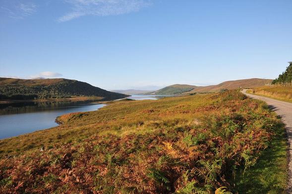Strathnaver in northern Sutherland. The image shows a broad bracken hillside descending to the left to a long loch, with a hill on its far side. On the right a narrow road leads into the landscape. The sky is nearly clear blue and the bracken is quite brown.