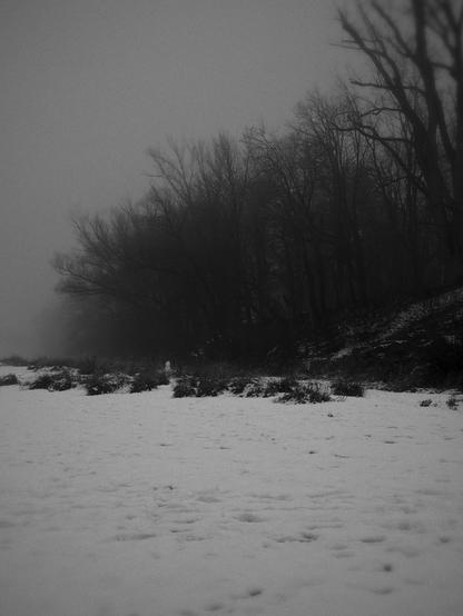 A black and white photo of snow-covered ground with footprints, and a dark, leafless forest edge in the foggy background.