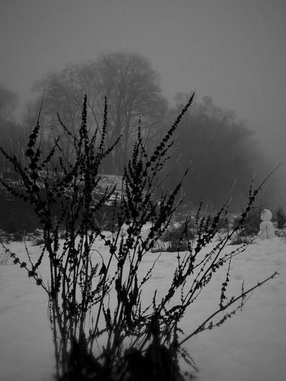 A black and white photo of a snow-covered landscape with a bush in the foreground, bare trees in the background, and a snowman.