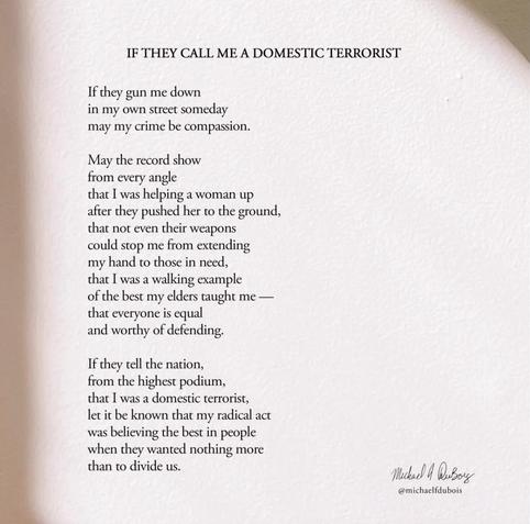 A poem entitled "If They Call Me a Domestic Terrorist" by Michael Dubois shared by Joyce Vance today; the poem focuses on the murder of Alex Pretti in Minneapolis