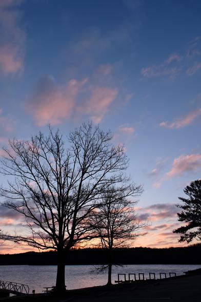 A lakeview at dawn as the clouds began to turn orange in the blue sky. Three trees in the front on the shore