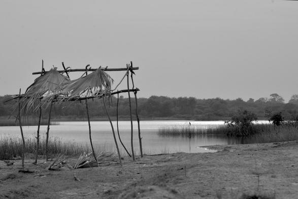 We are on the edge of the river Oussouye. In the background are high trees, on the left a shelter made of branches, there are only two leaves of palm trees left to provide shade.